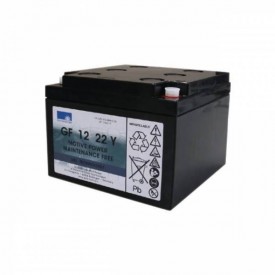 GEL BATTERY GF12022YT 12V 24AH