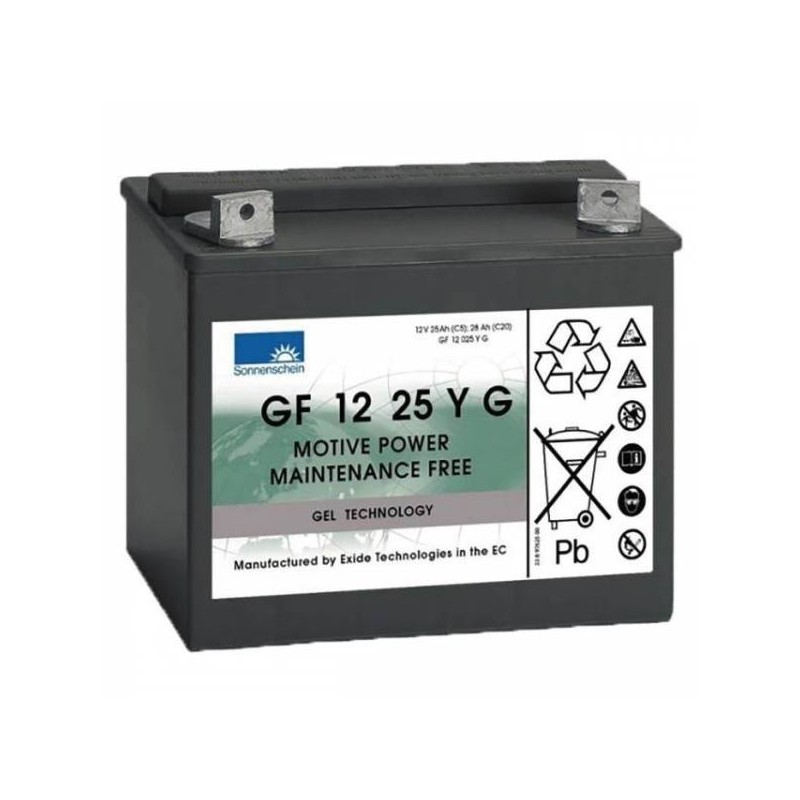 BATTERIE GEL GF12025YG 12V 28AH