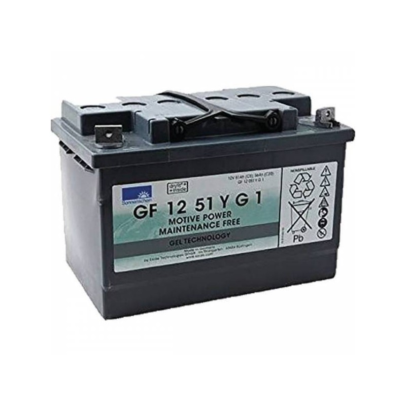 BATTERIE GEL GF12051YG1 12V 56AH